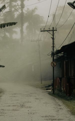 Pictured: Deserted street during the descent of the fog. The new wiring and traffic signs merge with the old, century-old wooden houses. Credit: Mariana Rosetti